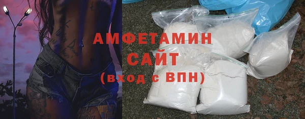 сатива Бородино