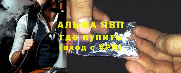 сатива Бородино