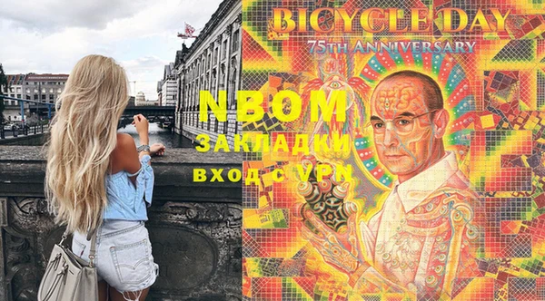 сатива Бородино