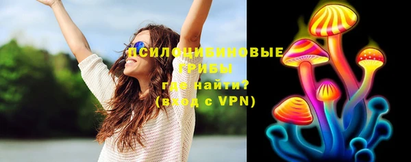 сатива Бородино