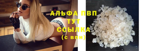 сатива Бородино