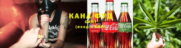 сатива Бородино