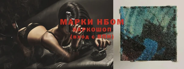 прущий лед Богданович