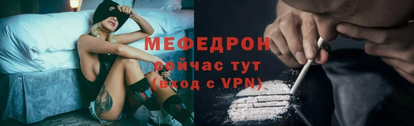 сатива Бородино