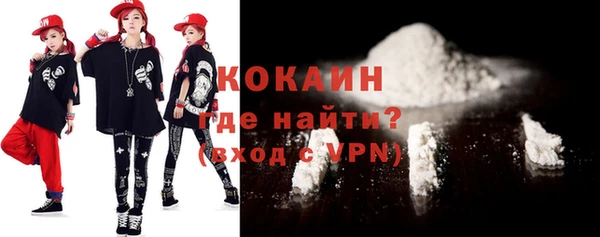 сатива Бородино