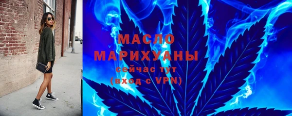 сатива Бородино