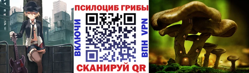 KRAKEN как войти  Киселёвск  Галлюциногенные грибы GOLDEN TEACHER 